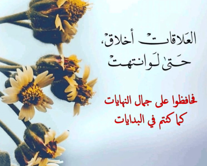 بوستات عن البدايات والنهايات 5