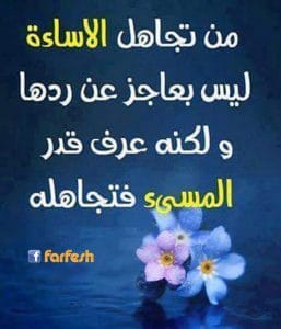 اجمل ما قيل عن التجاهل