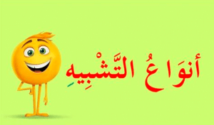 انواع التشبيه مع الامثلة