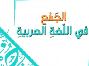 أنواع الجمع
