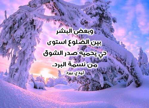 شعر بدوي عن البرد