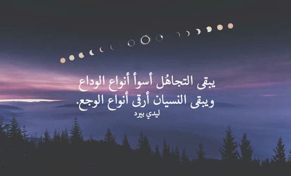 حالات عن التجاهل5