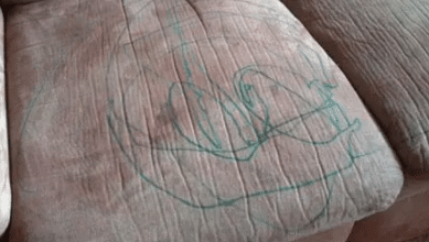 طريقة ازالة قلم السبورة من الكنب