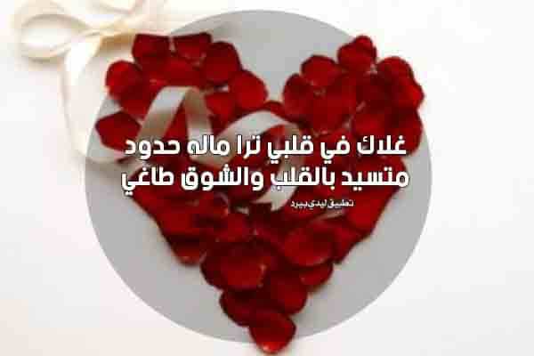 عبارات اهداء لشخص عزيز