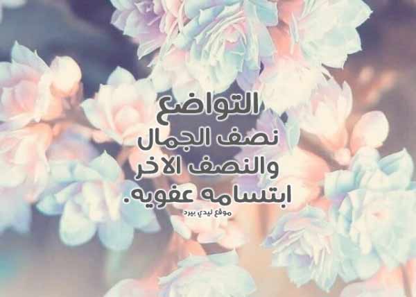 اجمل ما قيل عن التواضع شعر