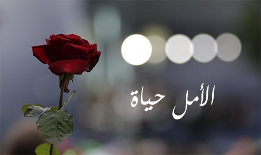 بداية حياة جديدة مليئة بالأمل