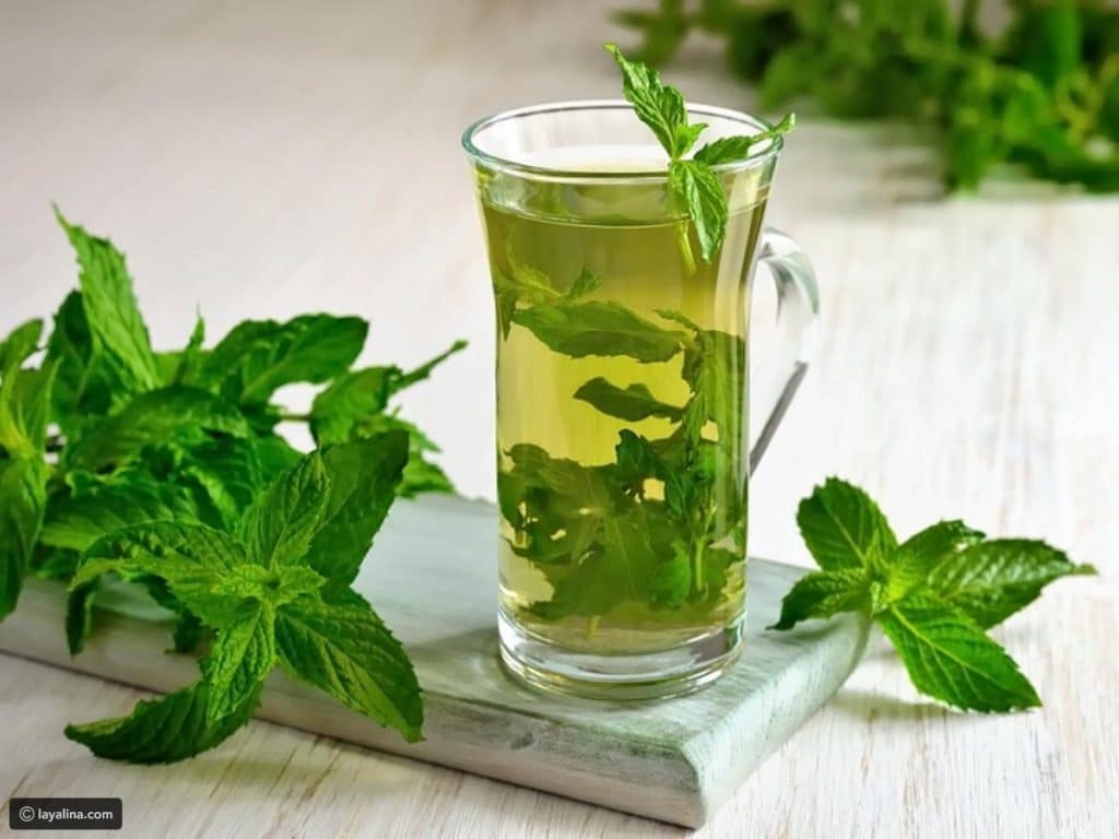 تجربتي مع النعناع للكرش
