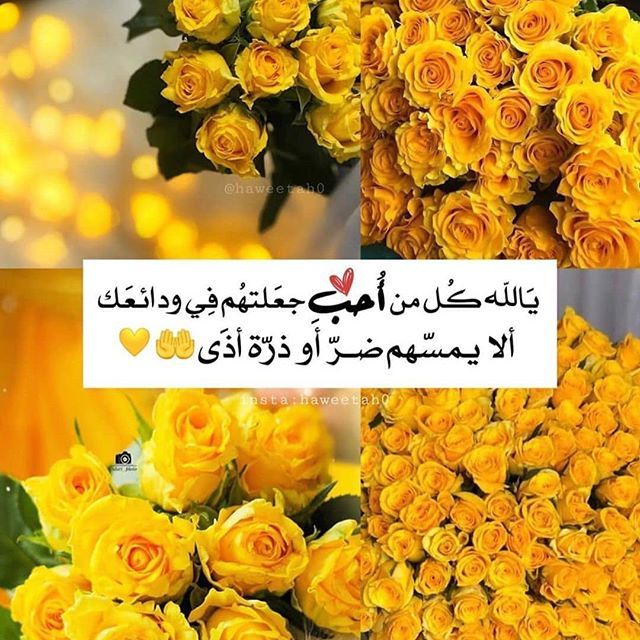 كلام عن اللون الاصفر اسك2