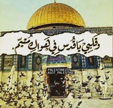 حالات عن القدس3