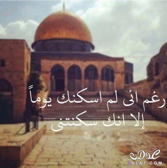 حالات عن القدس1
