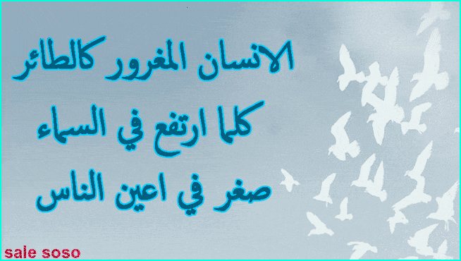 بوست عن الغرور1
