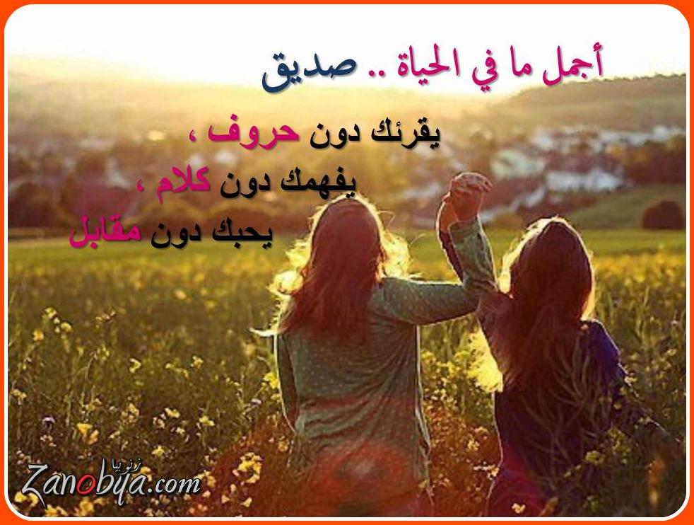أجمل ما في الحياة صديق يفهمك دون كلام3