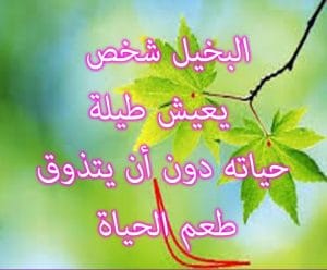 عبارات عن الشخص البخيل