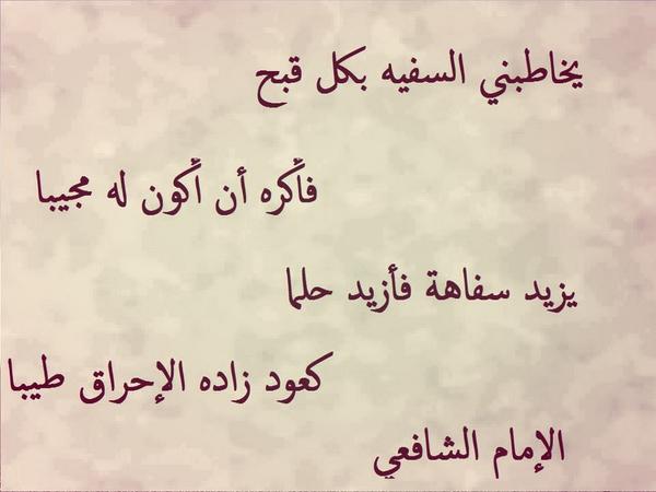 أقوال عن الجدال والنقاش
