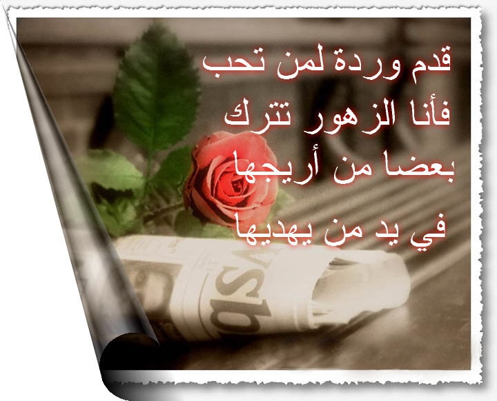 بطاقات رومانسية جدا 3