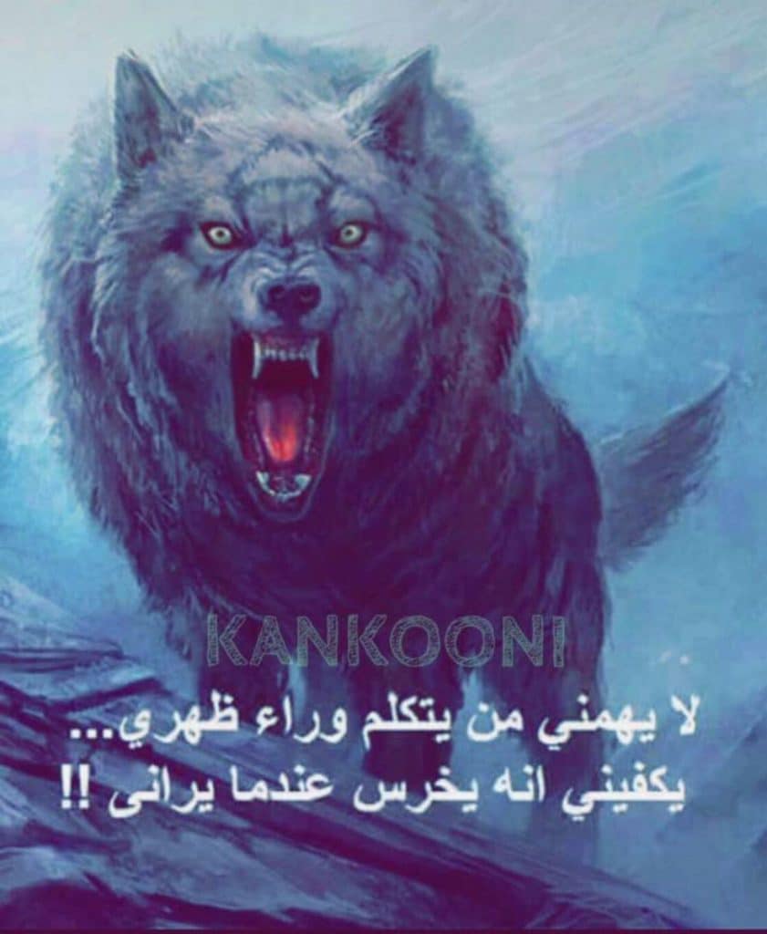 لا يهمني من يتكلم وراء ظهري المهم يخرس عندما يراني1