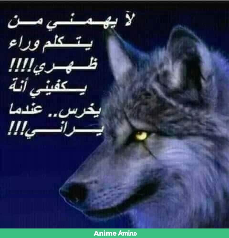 لا يهمني من يتكلم وراء ظهري المهم يخرس عندما يراني2