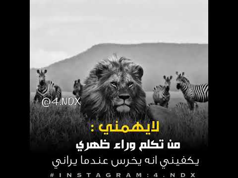 لا يهمني من يتكلم وراء ظهري المهم يخرس عندما يراني3