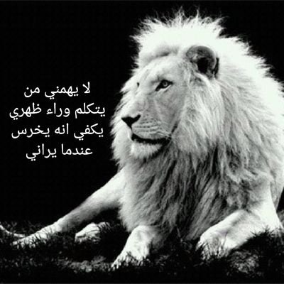 لا يهمني من يتكلم وراء ظهري المهم يخرس عندما يراني4