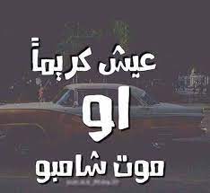 عبارات ترفيهية1