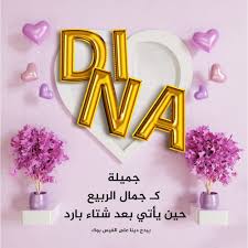 بوست باسم دينا4