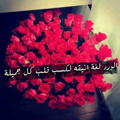 حالات عن الورد للواتس1
