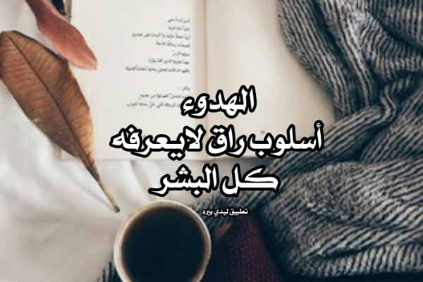 عبارات عن الشخص الهادئ3