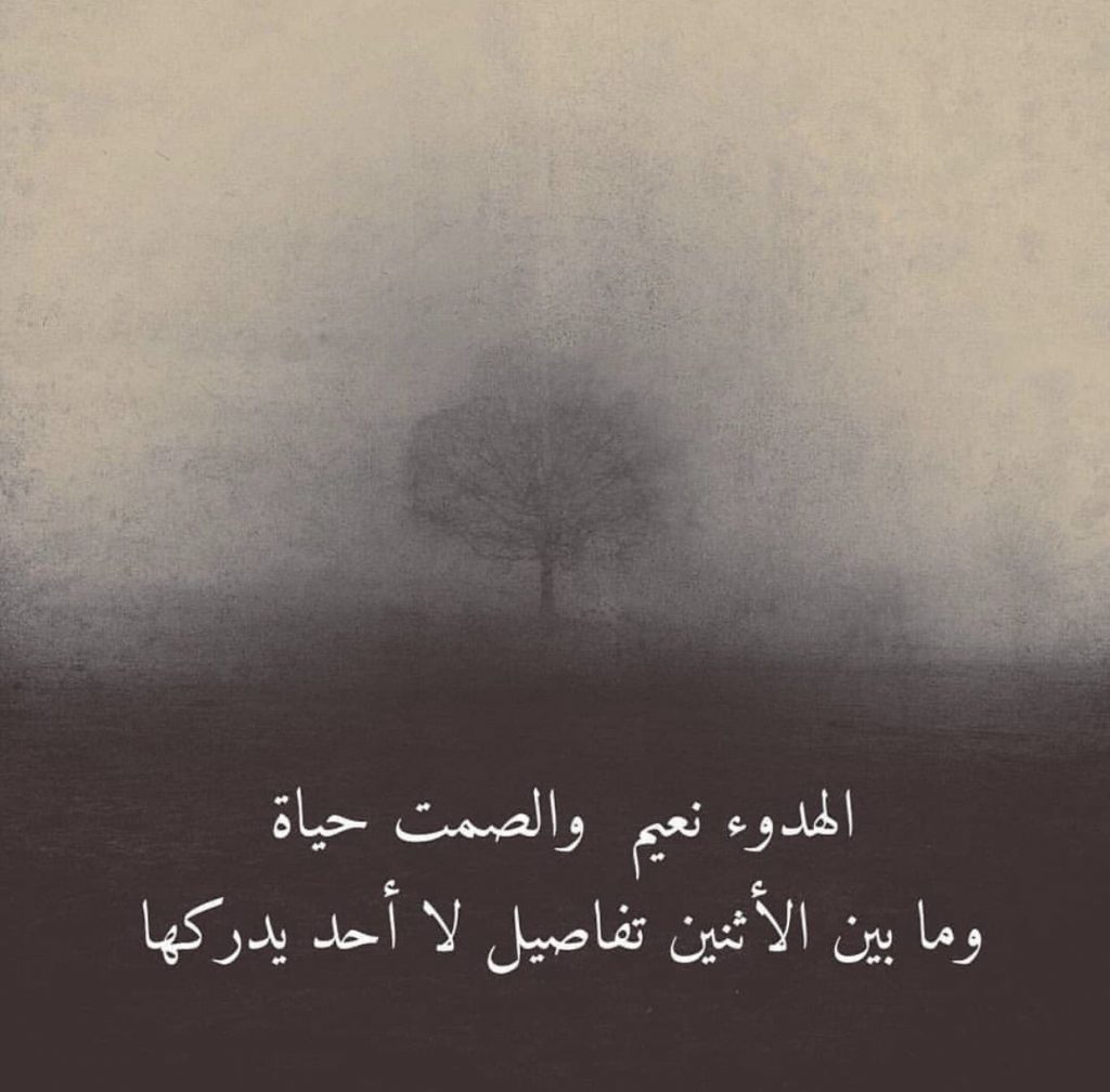 عبارات عن الشخص الهادئ4