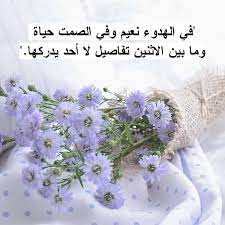 الهدوء نعمة3