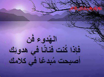 الهدوء نعمة5