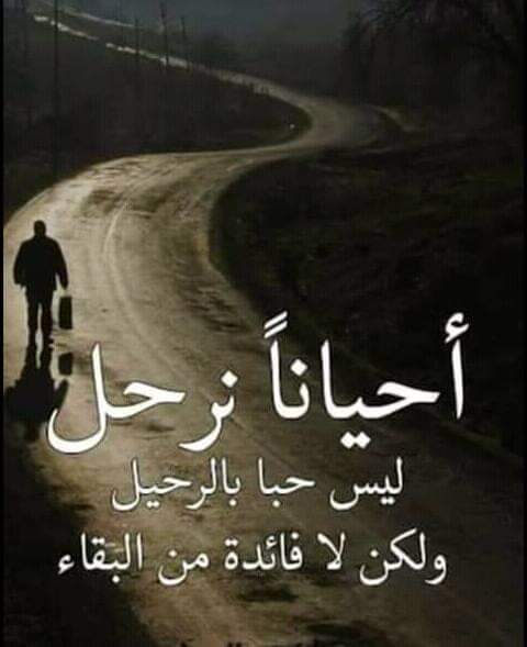 الرحيل أفضل من البقاء3