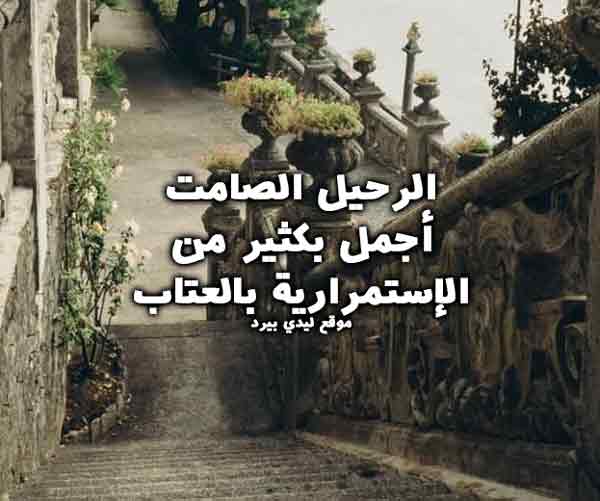 الرحيل أفضل من البقاء5