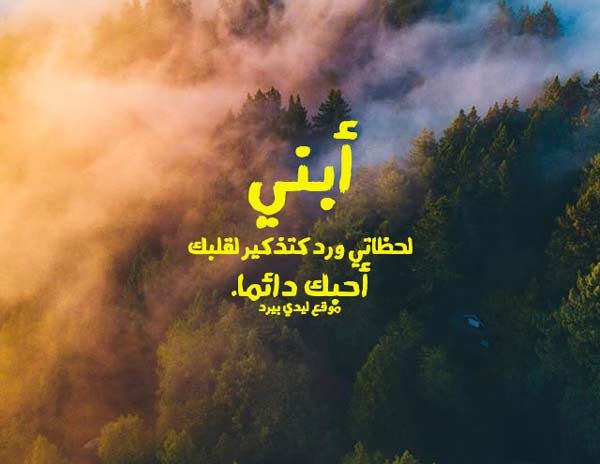 بوستات عن الابن الكبير4