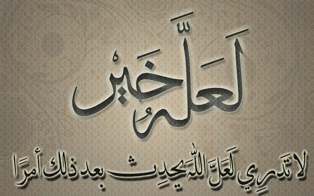 حياة المطلقة