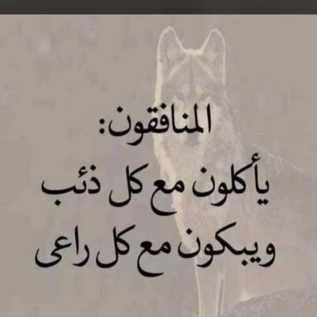كلام عن المنافقين بالصور1