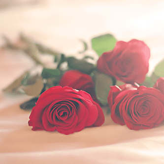 عبارات واتس