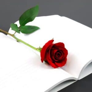 عبارات عن الشخص الصادق