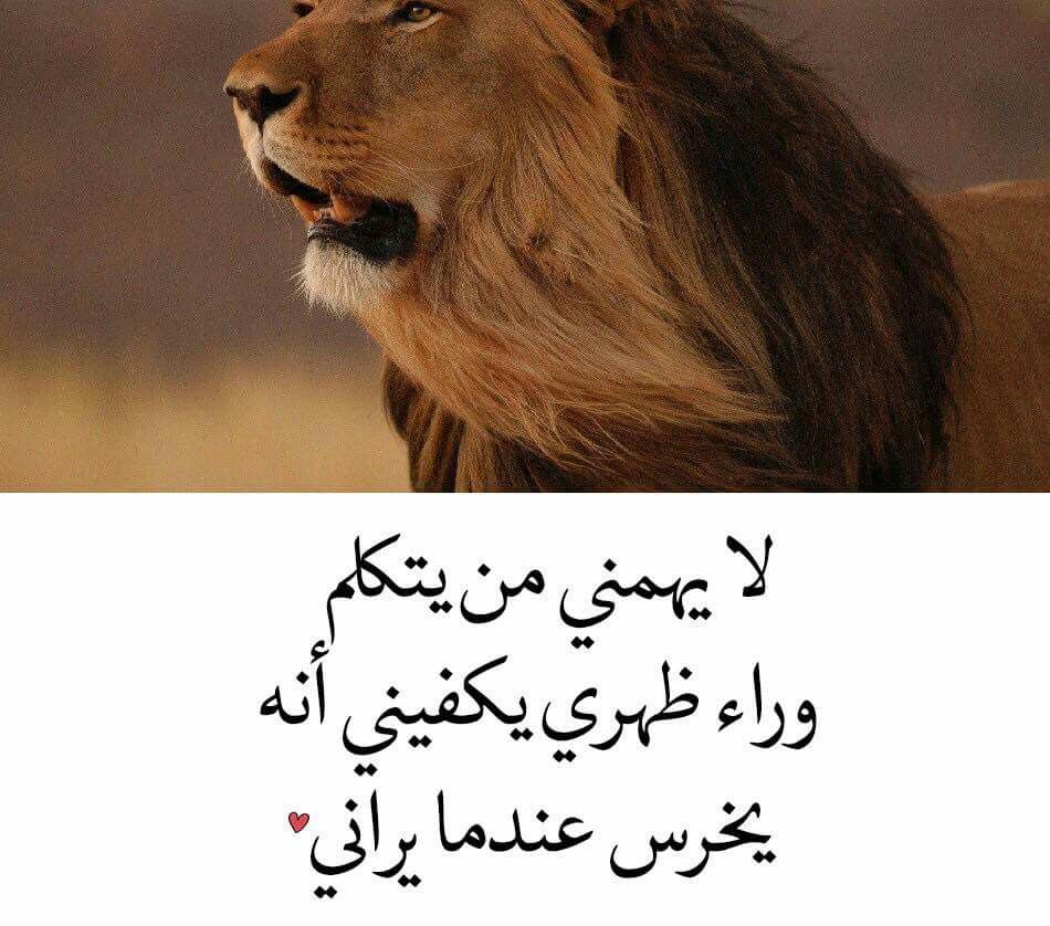 لا يهمني من يتكلم وراء ظهري يكفي انه يخرس عندما يراني3