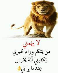 لا يهمني من يتكلم وراء ظهري يكفي انه يخرس عندما يراني4