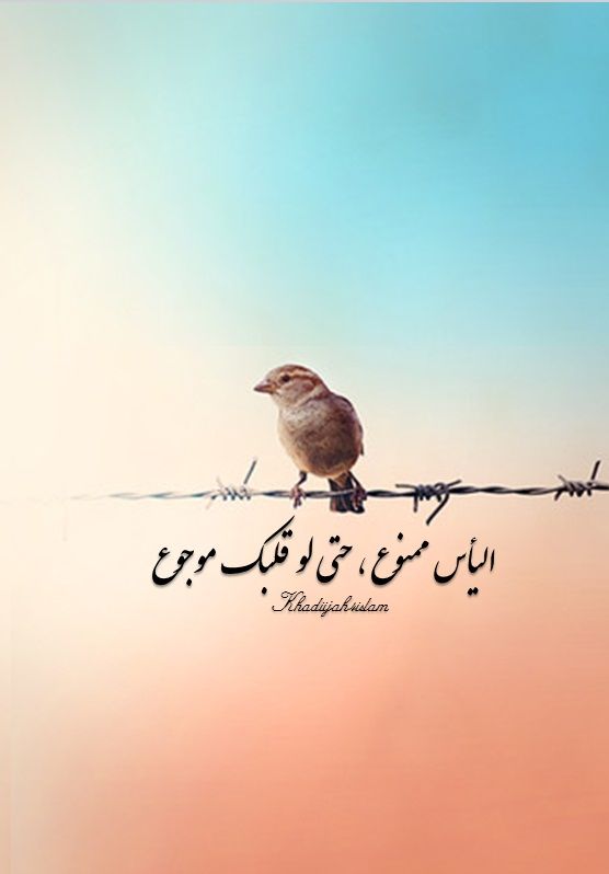 كلام عن اليأس والحزن5