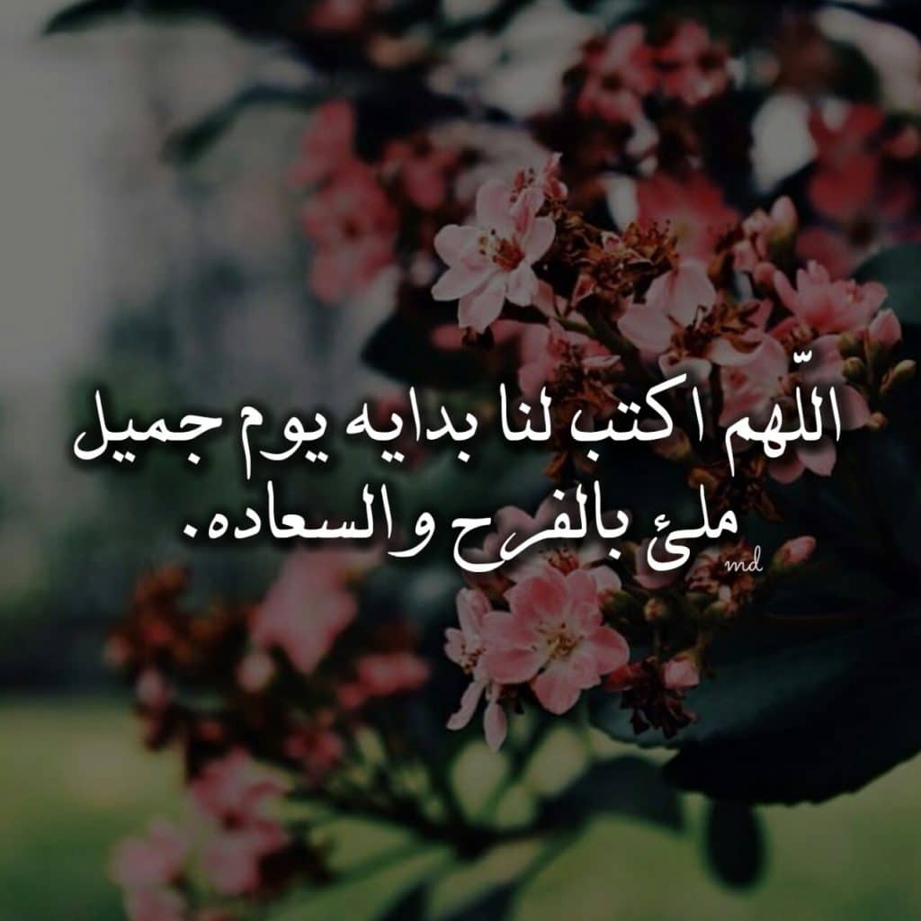 عبارات يوم جميل