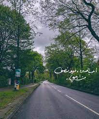 اعشق الهدوء فهو نصف مزاجي2