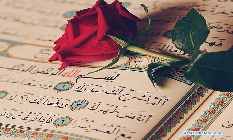 كلمة عن فضل القرآن