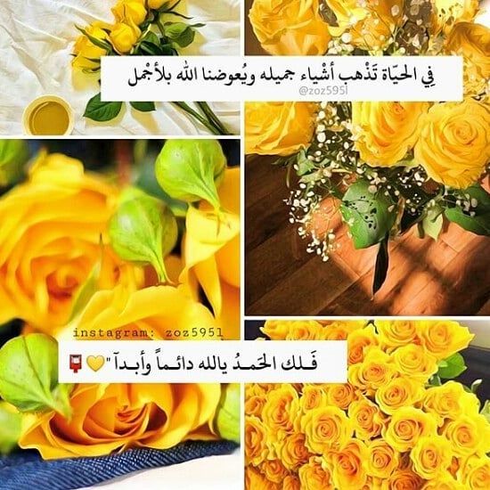 كلام عن اللون الاصفر اسك3