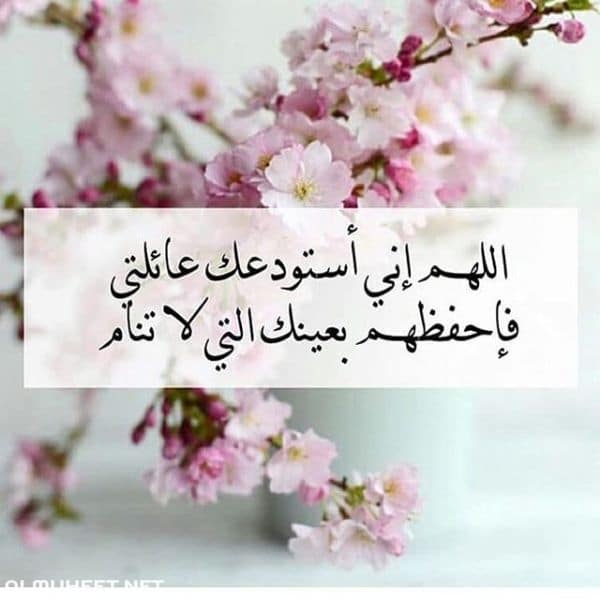 بوستات عن العائلة4