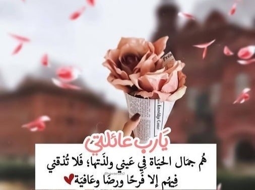 كلام عن العائلة سناب