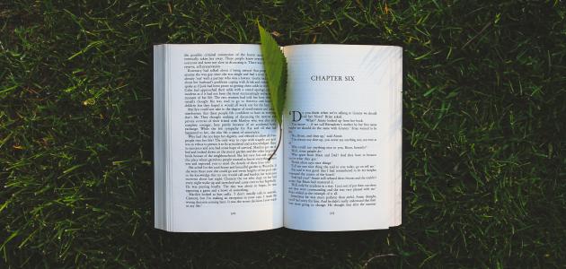 عبارات عن الثقافة بالانجليزي