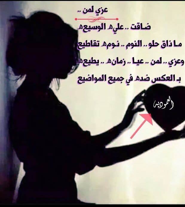 مدح الحبيب تويتر 1