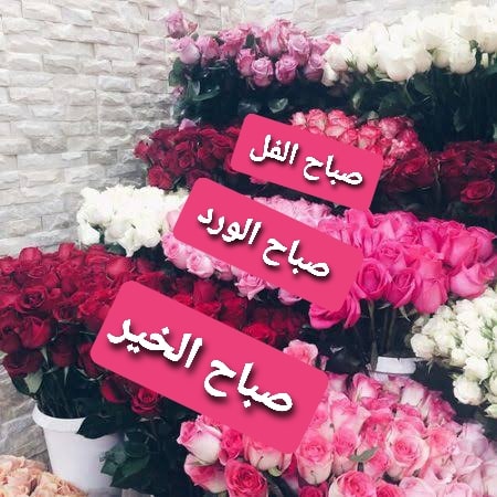 صباح الخير للاصدقاء بالصور 2