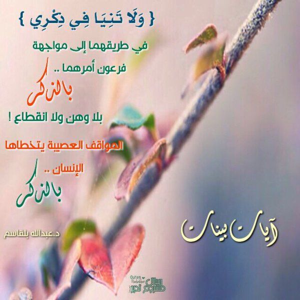 رسائل قرآنية تويتر  2